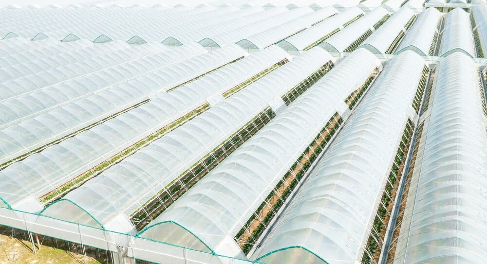 metacrilato o policarbonato