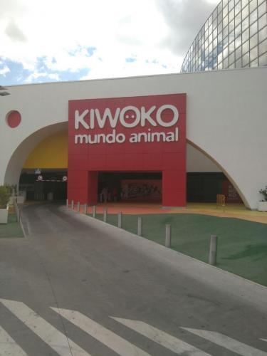 Letras corporeas con luz