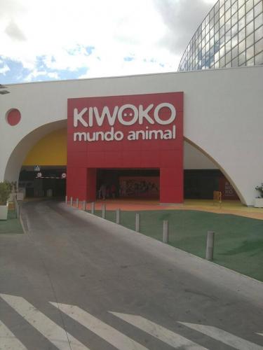 Letras corporeas con luz Frontal